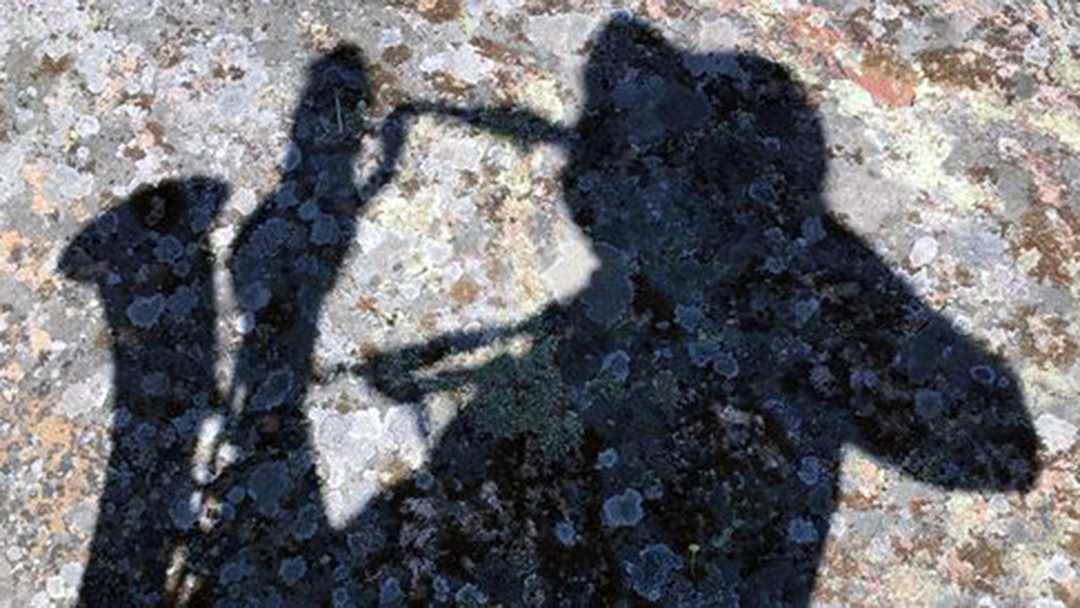 HiH! nro 21: Free jazz