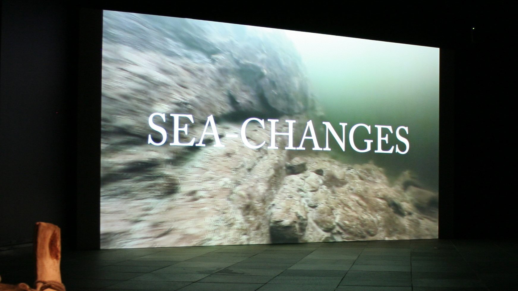 sea-cahnges still 169