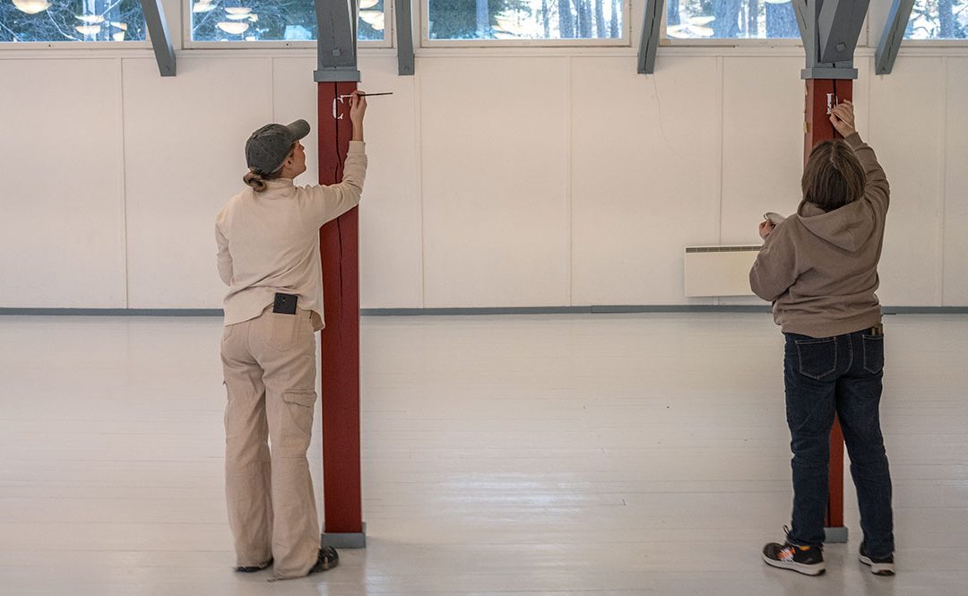 Paviljonki vaan paranee!